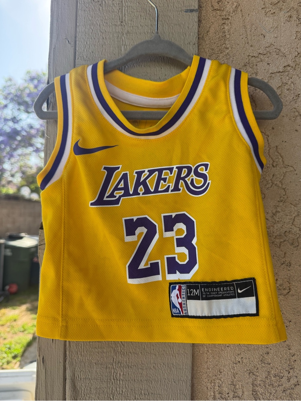 Nike Yellow & Purple Lakers Kids Basketball Jersey #23